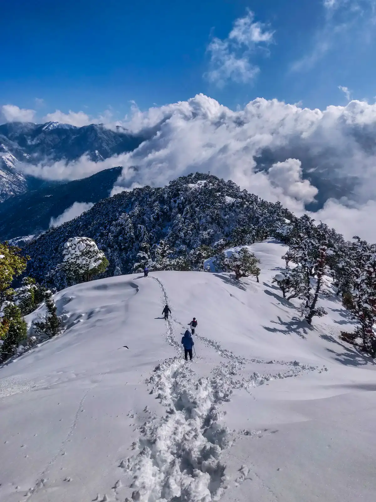 Himachal Pradesh, India
